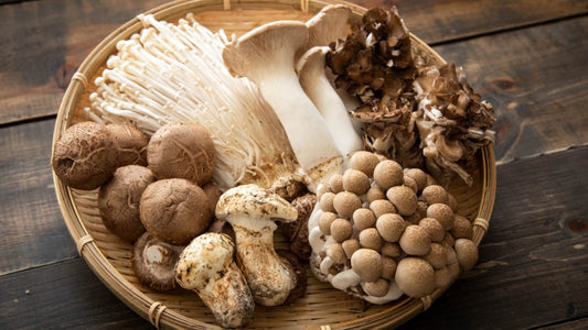 Mushroom Coffee - what is it and more importantly…is it tasty?